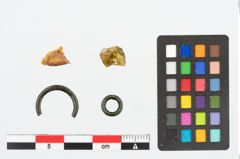 Foto von Bronzering (NHMW-PRAE-026168)